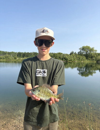 Sunfish