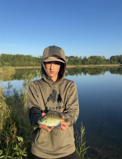 Sunfish