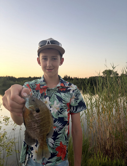Sunfish