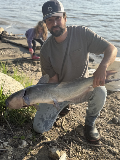 Channel Catfish