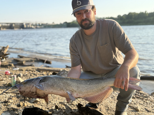 Channel Catfish