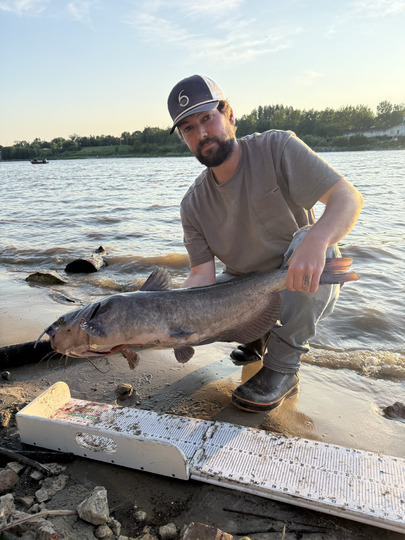 Channel Catfish