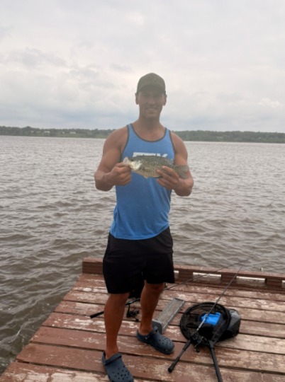 Black Crappie