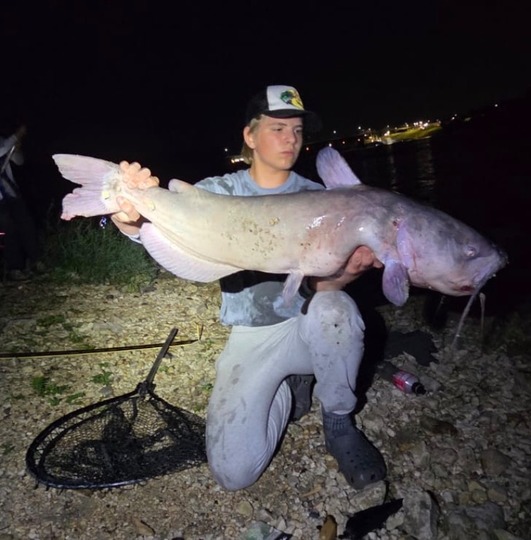 Channel Catfish
