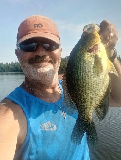 Black Crappie