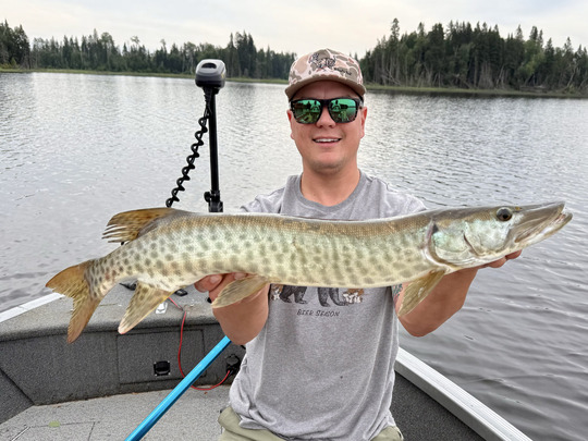 Muskellunge