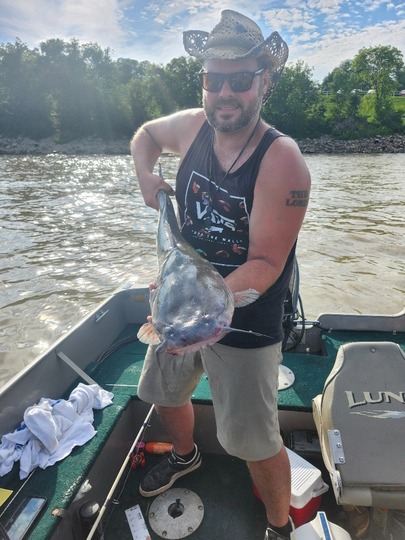 Channel Catfish