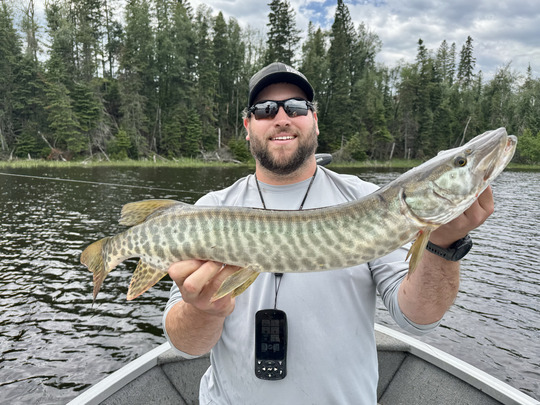 Muskellunge