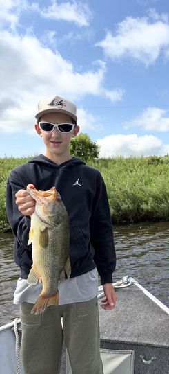 Largemouth Bass