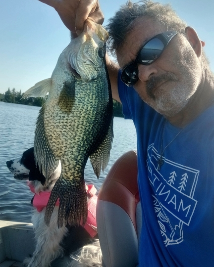 Black Crappie