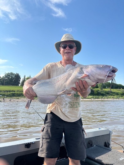 Channel Catfish