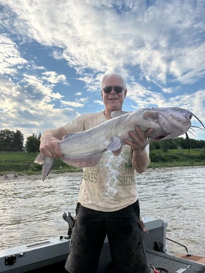 Channel Catfish