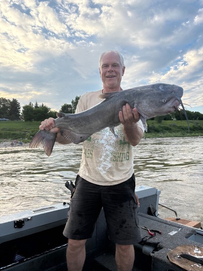 Channel Catfish