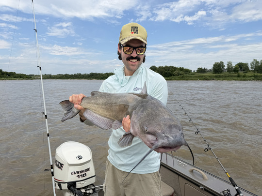Channel Catfish
