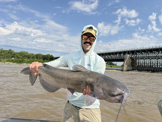 Channel Catfish
