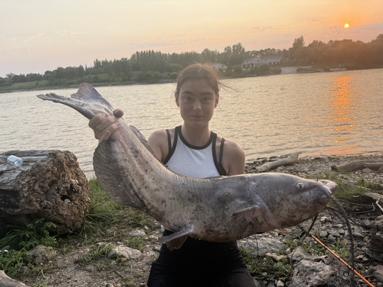 Channel Catfish
