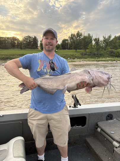 Channel Catfish