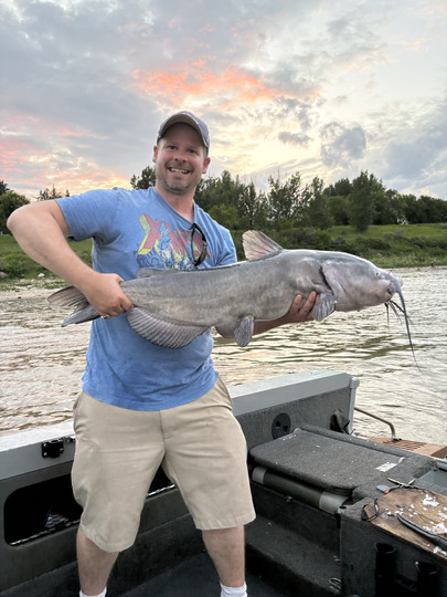 Channel Catfish
