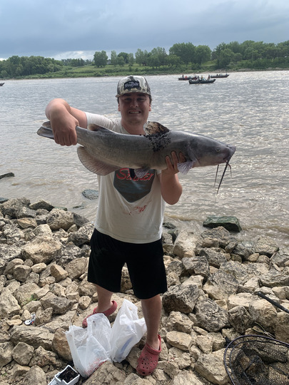 Channel Catfish