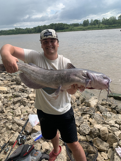 Channel Catfish