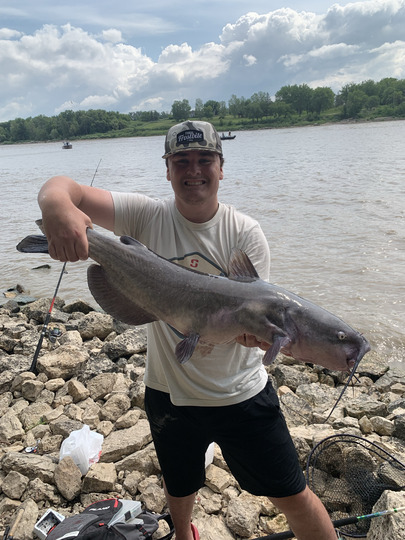 Channel Catfish
