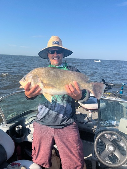 Freshwater Drum