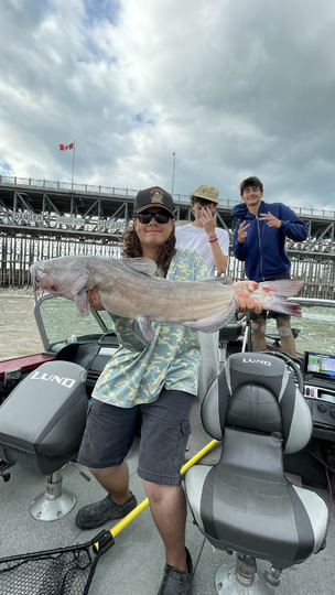 Channel Catfish
