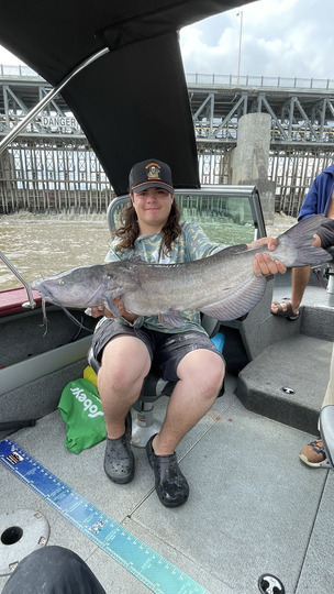 Channel Catfish