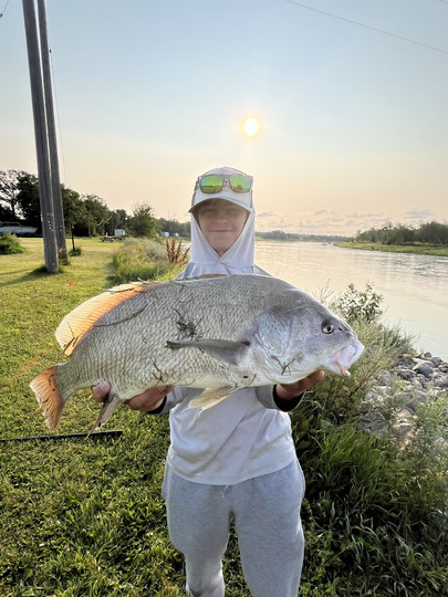 Freshwater Drum