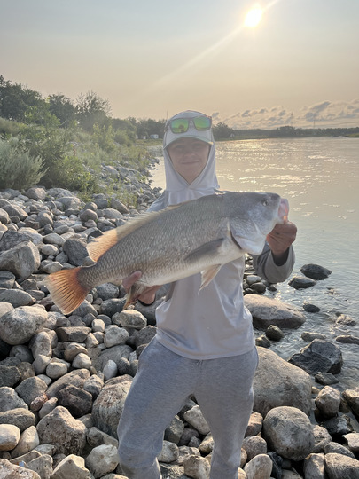 Freshwater Drum