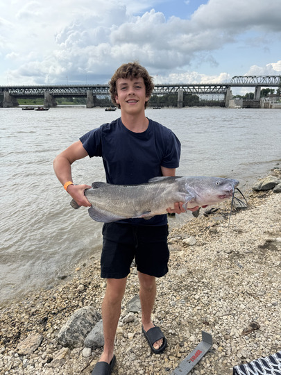 Channel Catfish