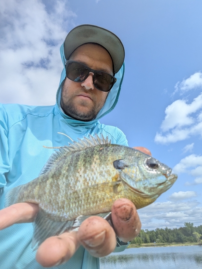 Sunfish