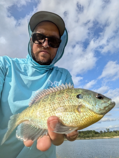 Sunfish