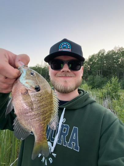 Sunfish