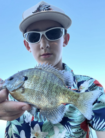 Sunfish