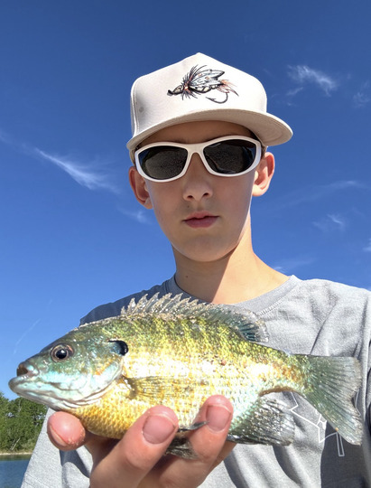 Sunfish