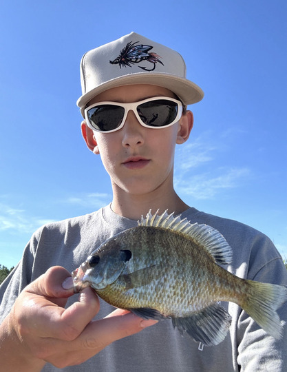 Sunfish