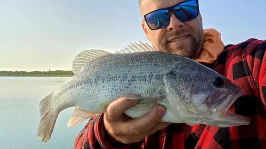 Largemouth Bass