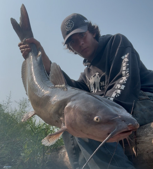 Channel Catfish