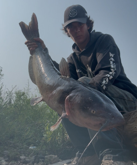 Channel Catfish