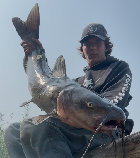 Channel Catfish
