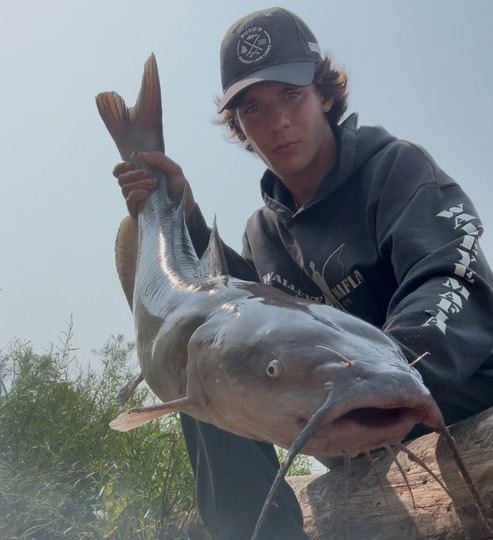 Channel Catfish