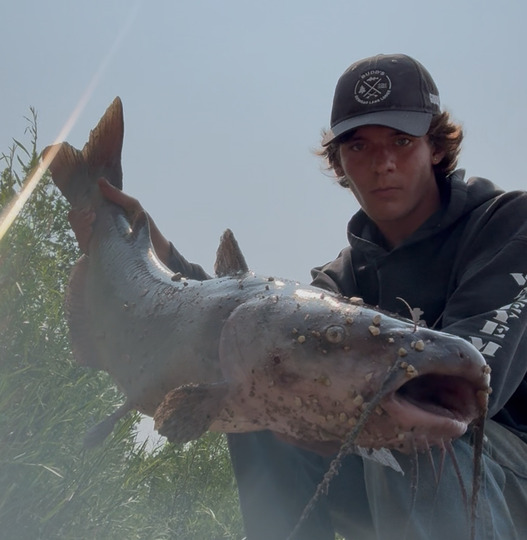 Channel Catfish