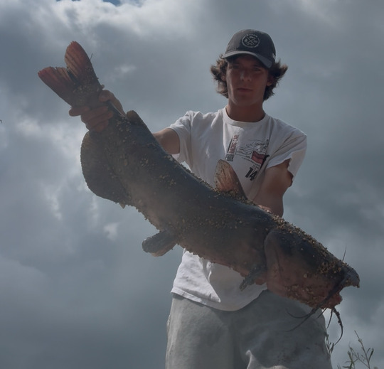 Channel Catfish
