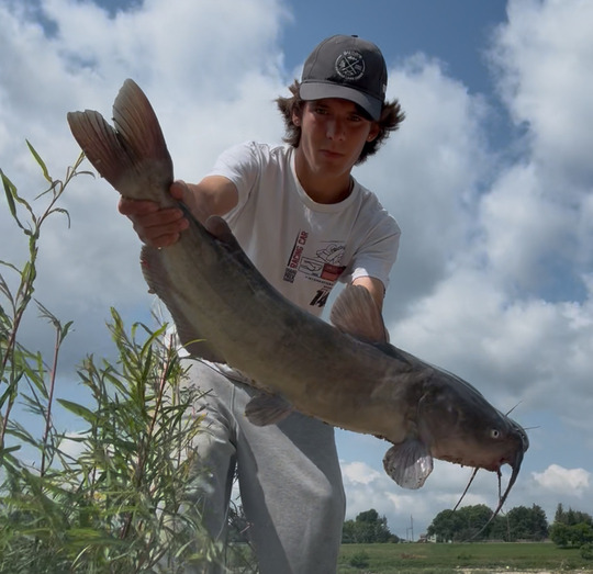 Channel Catfish