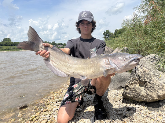 Channel Catfish