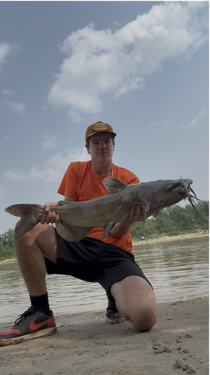 Channel Catfish