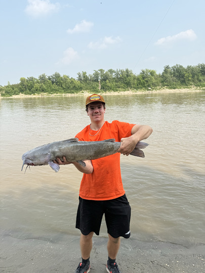 Channel Catfish