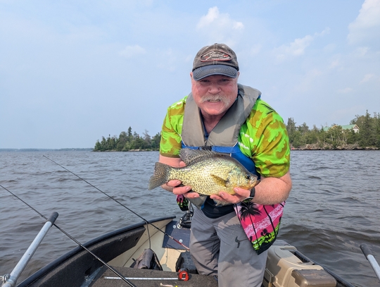 Black Crappie