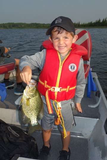 Black Crappie